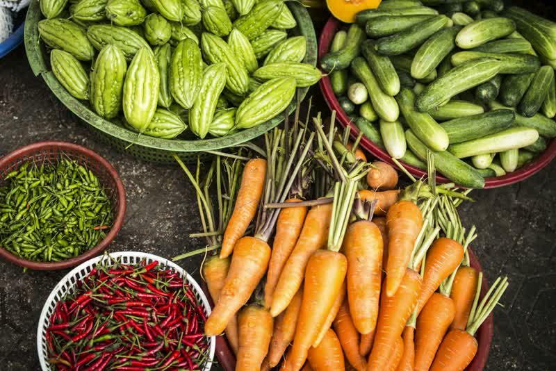 Alimentação & Culinária