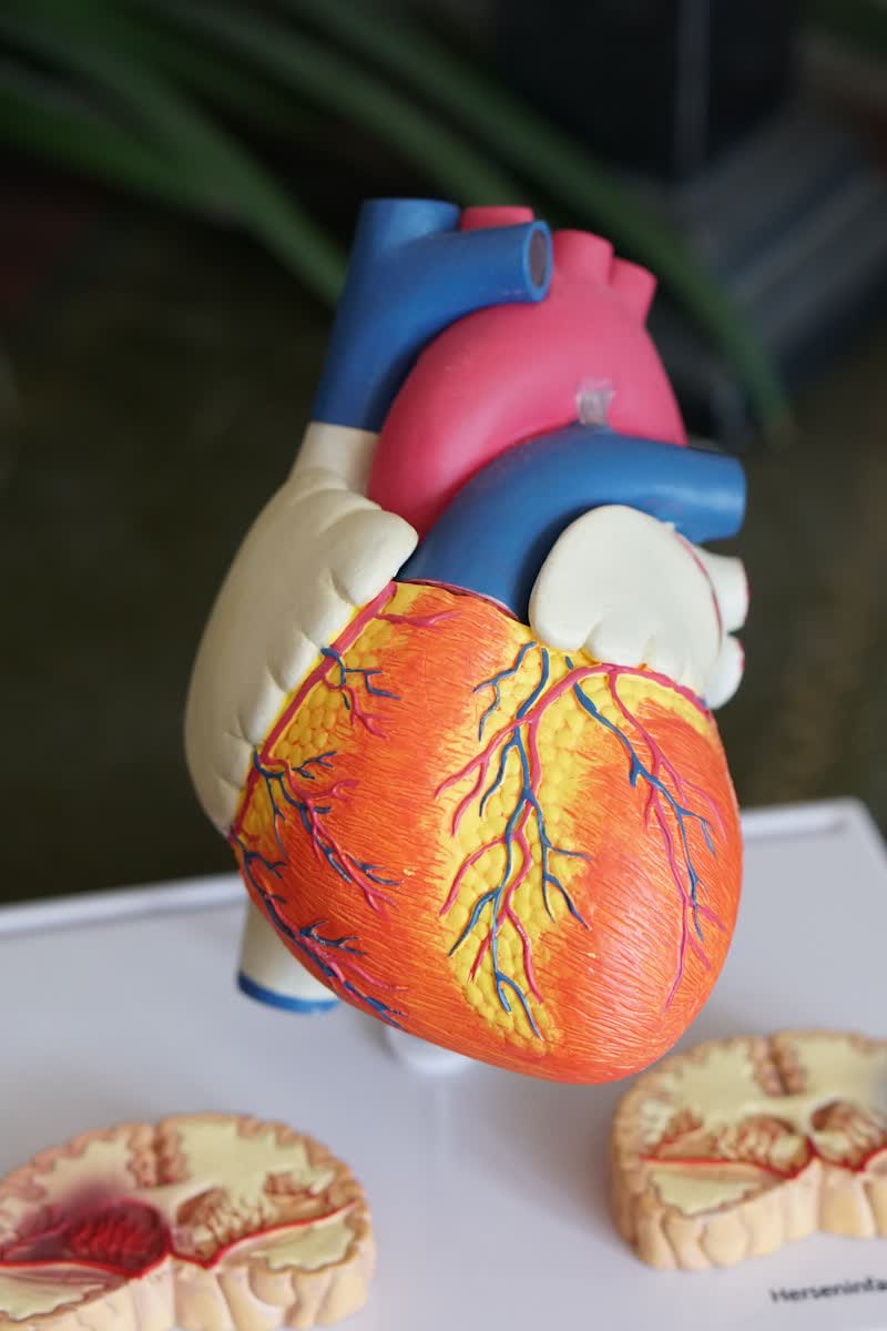 O microbioma intestinal e a saúde mental — o eixo intestino-cérebro