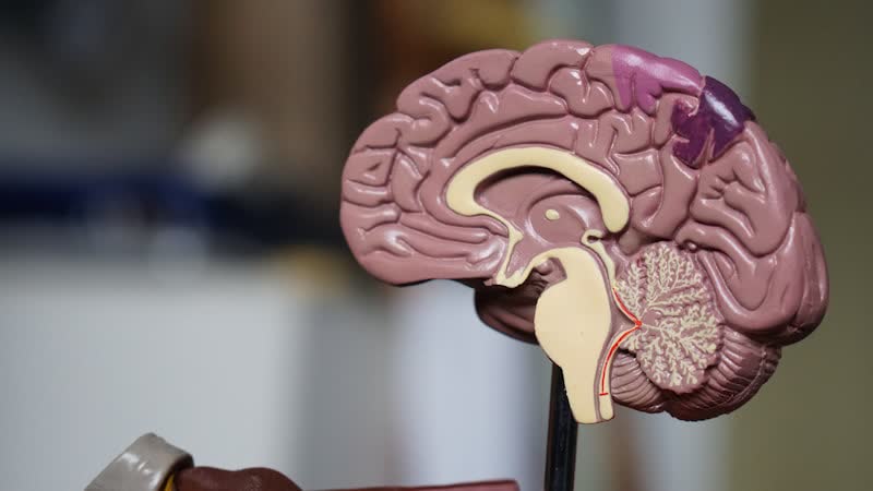 O que é biologia molecular — guia introdutório acessível