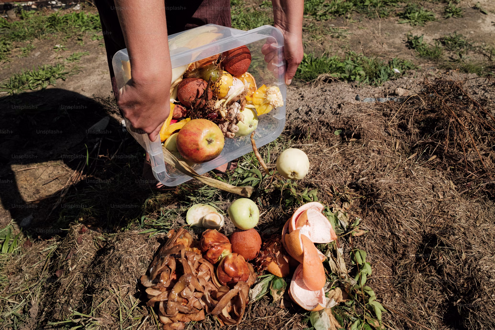 Compostagem avançada: transformar resíduos em fertilidade
